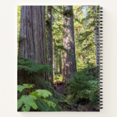 Carnet Prière de sérénité Forêt verte (Dos)