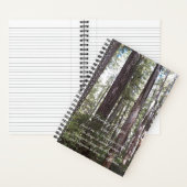 Carnet Prière de sérénité inspirée Forêt ensoleillée (À l'intérieur)