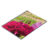 Carnet Prière Mantis Diner sur un papillon de nuit (Côté gauche)