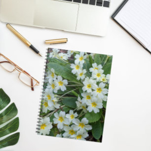 Carnet Primroses blanches aux centres jaunes Floral