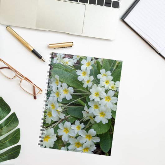 Carnet Primroses blanches aux centres jaunes Floral