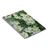 Carnet Primroses blanches aux centres jaunes Floral (Côté Droit)