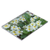 Carnet Primroses blanches aux centres jaunes Floral (Côté gauche)