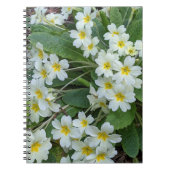 Carnet Primroses blanches aux centres jaunes Floral (Devant)