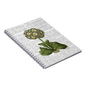 Carnet Primula Auraria Bleu (Côté Droit)