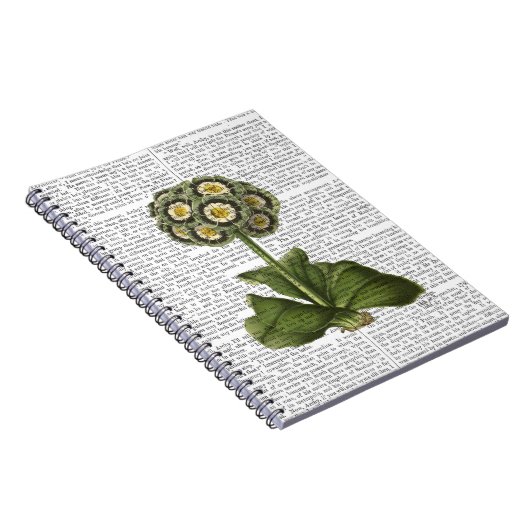 Carnet Primula Auraria Bleu (Côté Droit)