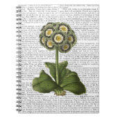 Carnet Primula Auraria Bleu (Devant)