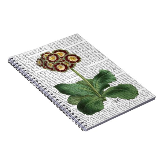 Carnet Primula Aurium Rouge (Côté Droit)