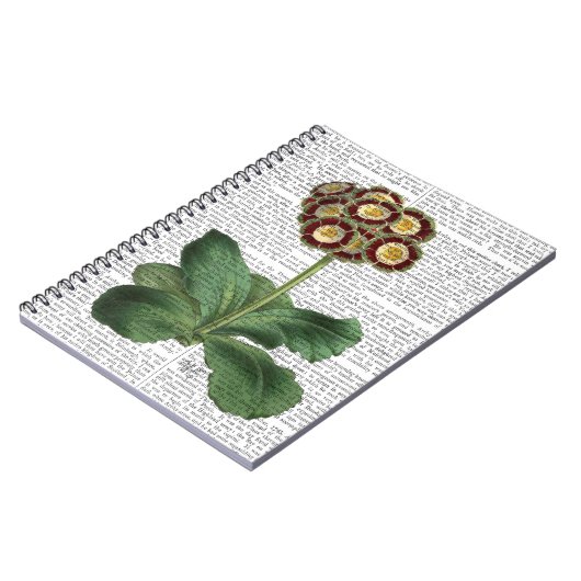 Carnet Primula Aurium Rouge (Côté gauche)