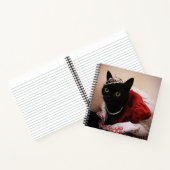 Carnet Princesse Bella (Intérieur)