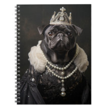 Princesse Carlin - Un conte royal de gentillesse!