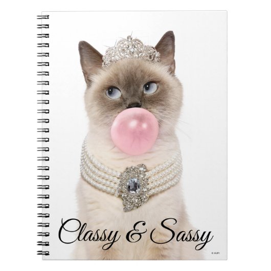 Carnet Princesse Chat soufflant de bulle gomme (Devant)