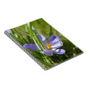 Carnet Printemps (Côté Droit)