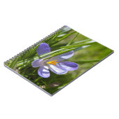 Carnet Printemps (Côté gauche)