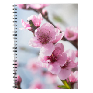 Carnet Printemps