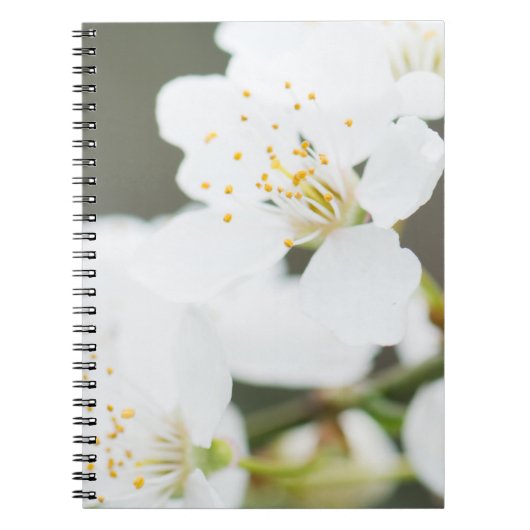 Carnet Printemps (Devant)