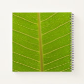 Carnet Printemps (Dos)