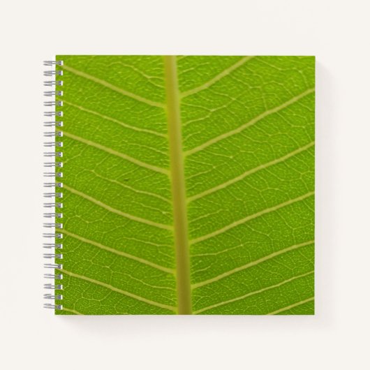 Carnet Printemps (Devant)