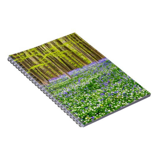 Carnet Printemps dans la forêt bleue (Côté Droit)