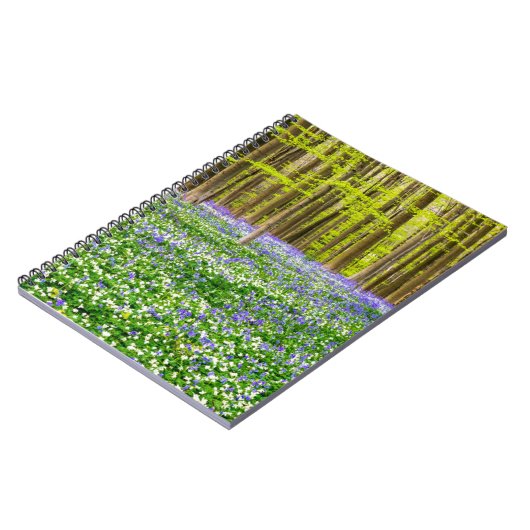 Carnet Printemps dans la forêt bleue (Côté gauche)