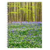 Carnet Printemps dans la forêt bleue (Devant)