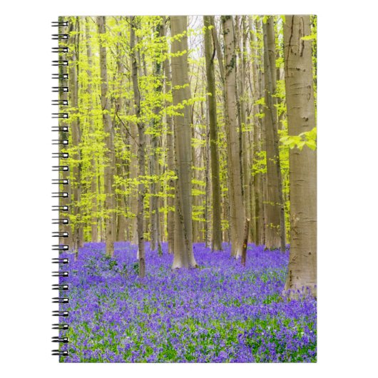 Carnet Printemps dans la forêt bleue (Devant)