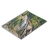 Carnet Printemps dans les Rocheuses Canada Cascade Pittor (Côté gauche)