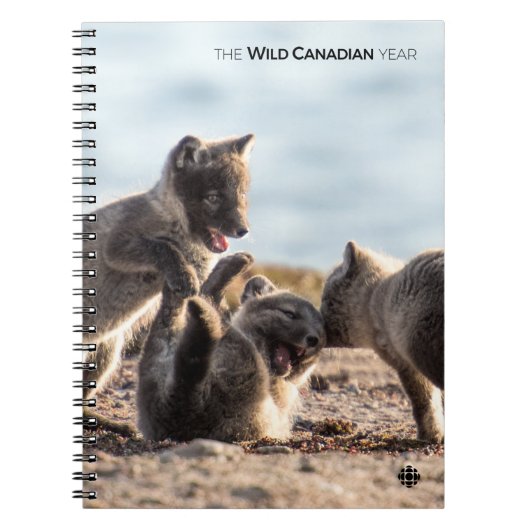 Carnet Printemps - Renard arctique (Devant)