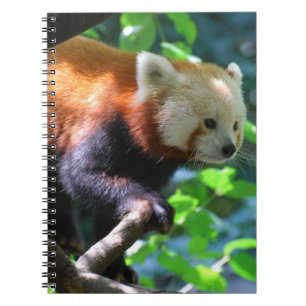 Carnet Produit de personnaliser