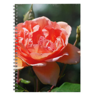 Carnet Produit de personnaliser