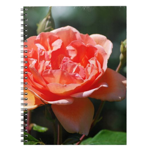 Carnet Produit de personnaliser (Devant)