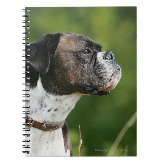 Carnet Profil de chien de boxeur (Devant)
