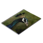Carnet Profil de Peacock (Côté gauche)