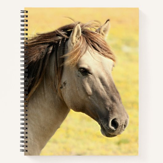 Carnet Profil du cheval beige (Devant)