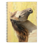 Carnet Profil du cheval beige (Devant)