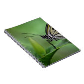 Carnet Profil d'un cerf-volant en papier (Côté Droit)