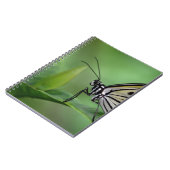 Carnet Profil d'un cerf-volant en papier (Côté gauche)