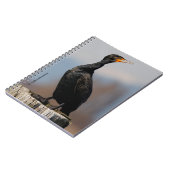 Carnet Profil d'un Cormorant à deux casiers (Côté gauche)