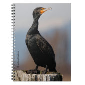 Carnet Profil d'un Cormorant à deux casiers (Devant)