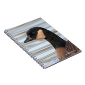 Carnet Profil d'une oie de caquetage (Côté Droit)