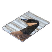 Carnet Profil d'une oie de caquetage (Côté gauche)