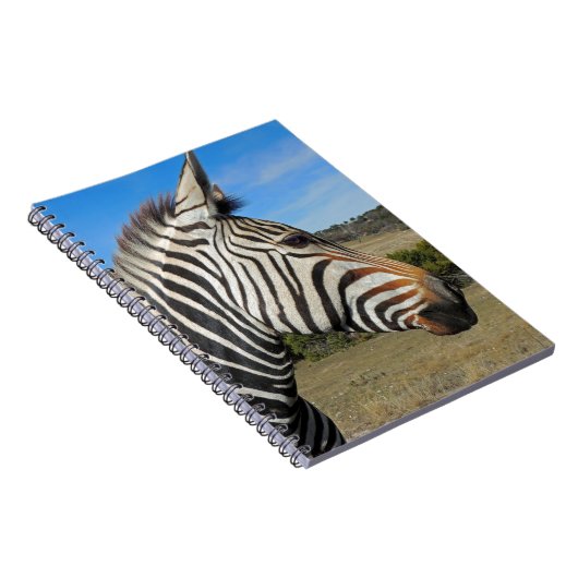 Carnet Profil Zebra de Hartmann à Fossil Rim (Côté Droit)
