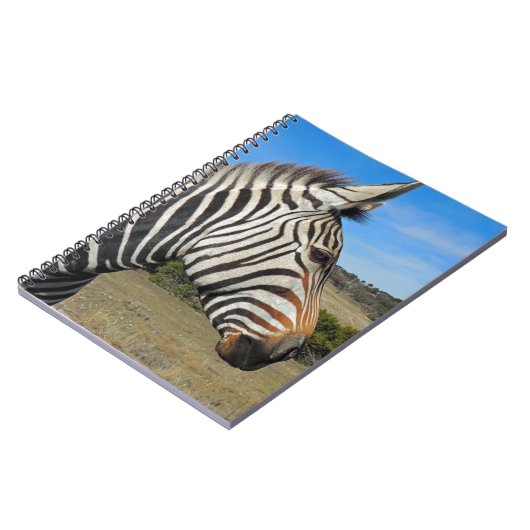 Carnet Profil Zebra de Hartmann à Fossil Rim (Côté gauche)