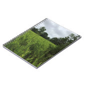 Carnet Promenade dans la forêt, Chester, Caroline du Sud  (Côté gauche)