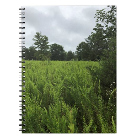 Carnet Promenade dans la forêt, Chester, Caroline du Sud  (Devant)