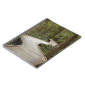 Carnet Promenade jusqu'aux chutes Nelson, Franklin - Gord (Côté gauche)