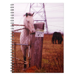 Carnet Propriété privée lavender Horse
