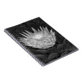 Carnet Protea noir et blanc (Côté Droit)