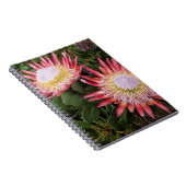 Carnet Protea (Protea Cynaroides), Helderberg (Côté Droit)