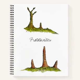 Carnet Prototaxites Ordinateur portable Spiral